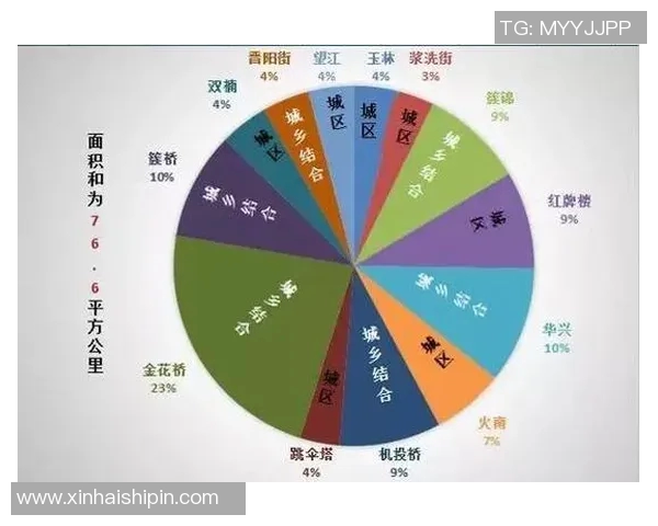 网球战术深度解析:杭州网球队的创新与挑战全景探讨 网球战术深度解析:杭州网球队的创新与挑战全景探讨