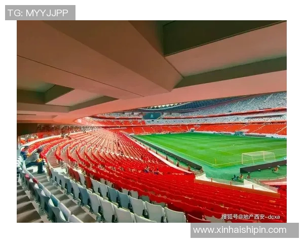 西安排球队力量分配引发热议球迷与专家各执己见