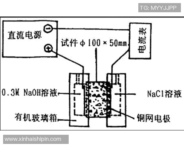 重庆排球队边路渗透战术分析及其对比赛结果的影响探讨