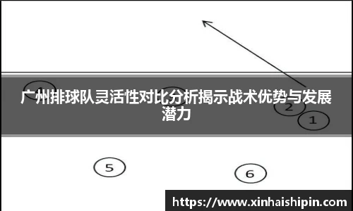 广州排球队灵活性对比分析揭示战术优势与发展潜力